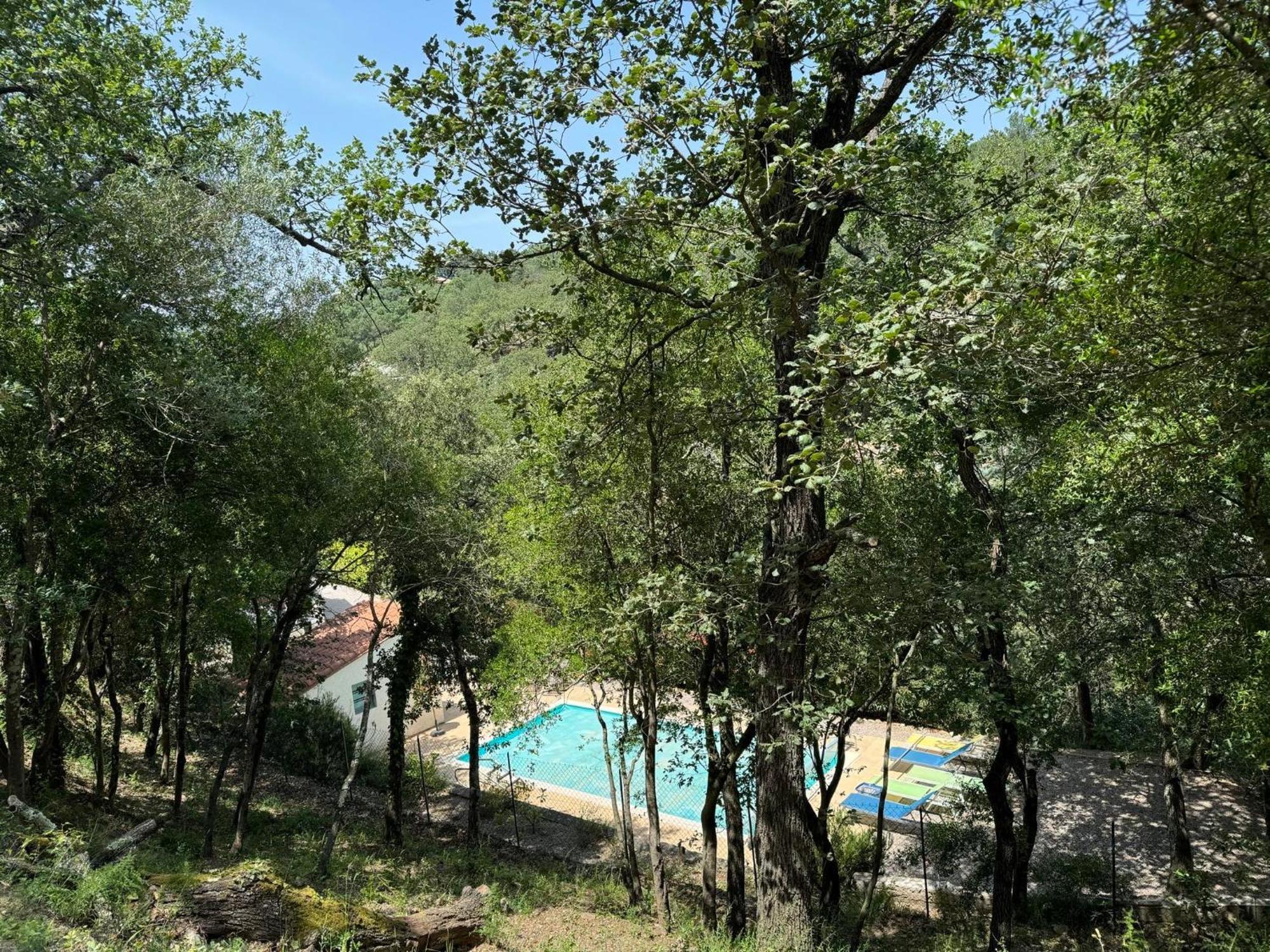 Maison Avec Piscine Chauffee Entre Mer Et Montagne Montauriol  외부 사진